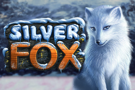 Silver Fox