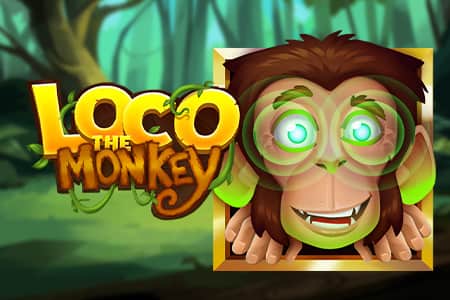 Loco the Monkey