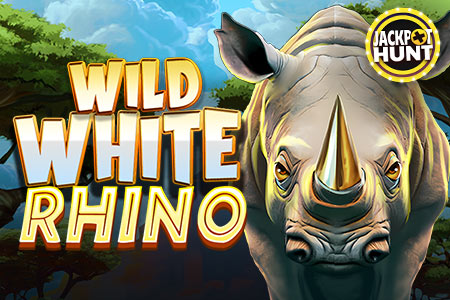 Wild White Rhino
