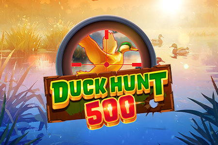 Duck Hunt 500