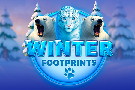 Winter Footprints